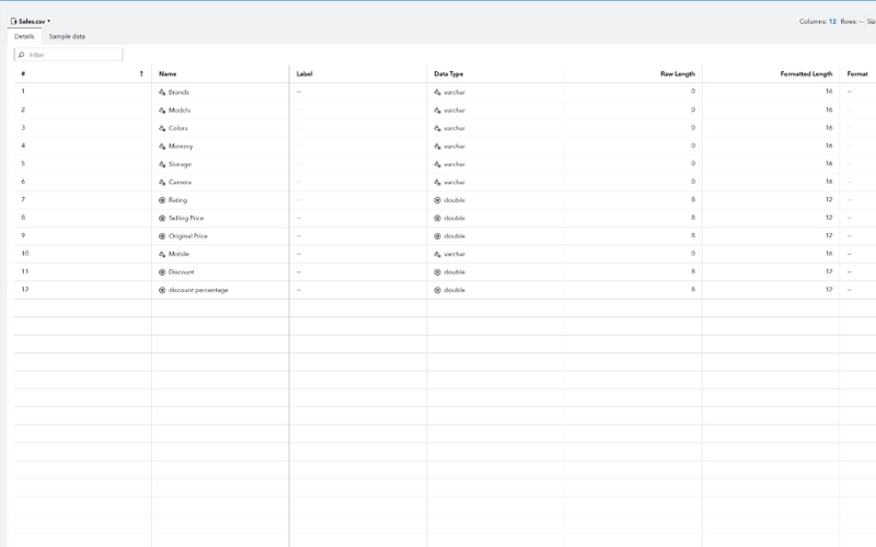 Dataset Before Preprocessing